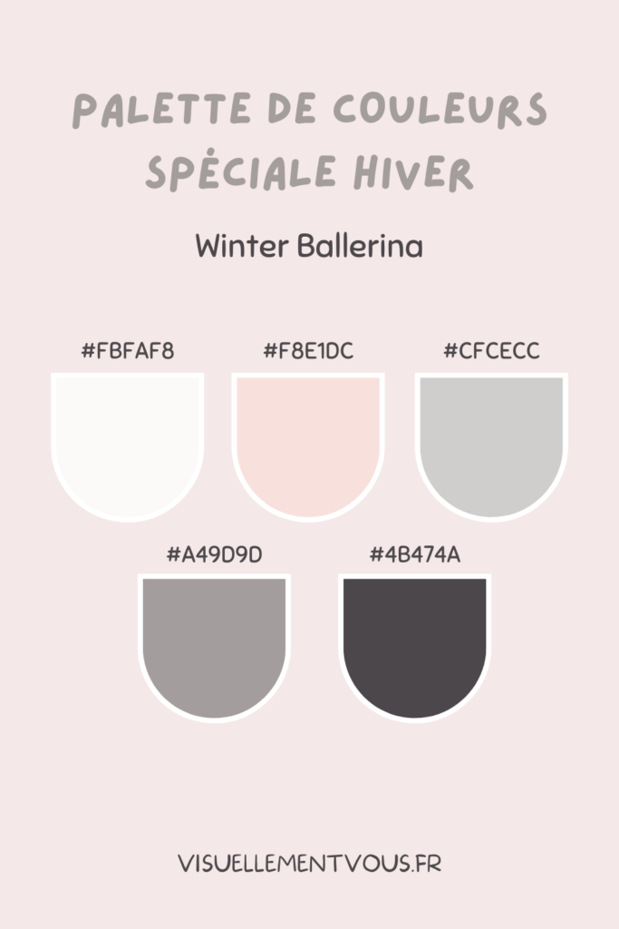 Palette de couleurs spéciale Hiver